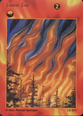 Forest Fire